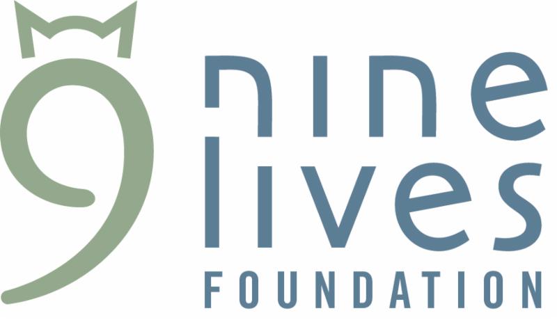 Mews News: October 2021