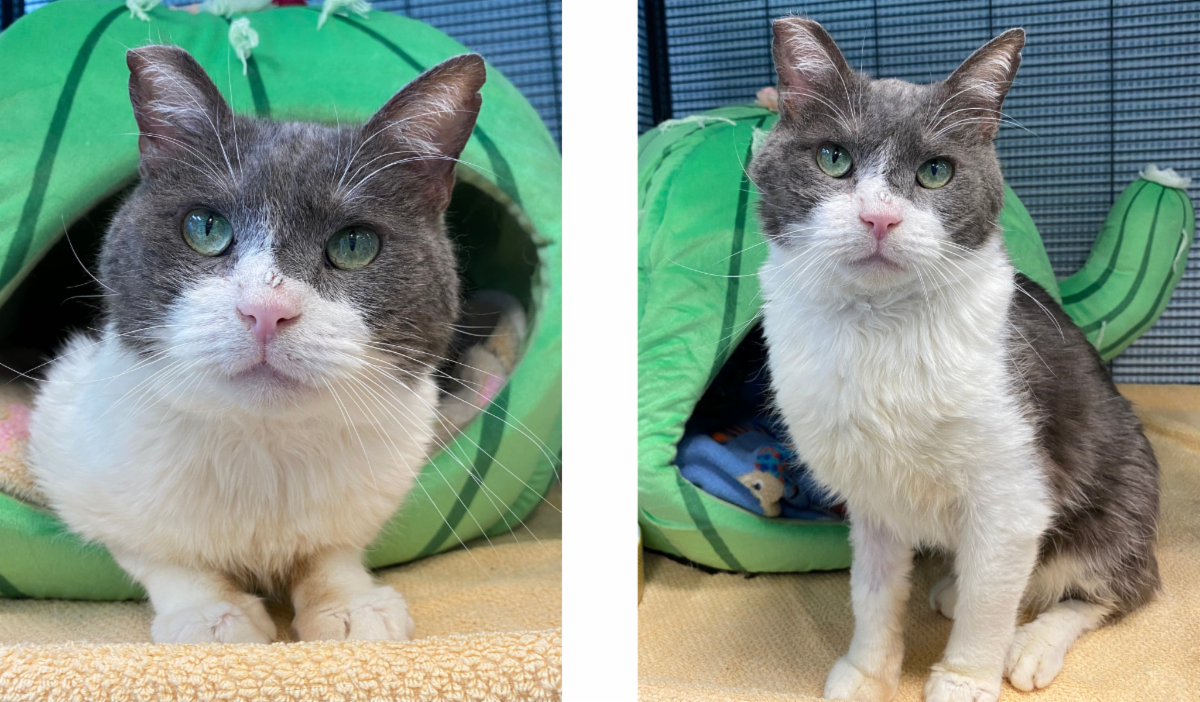 Mews News: September 2022