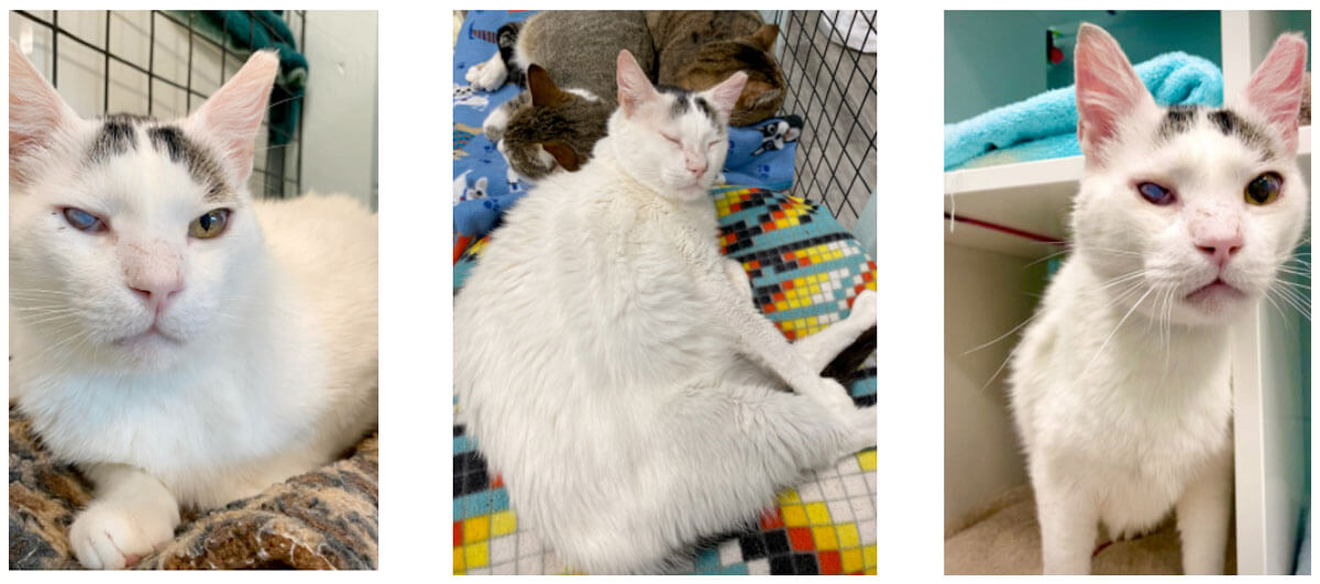 It’s Spooky Season!