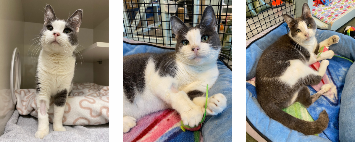 Mews News: February 2023