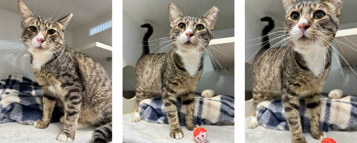 Mews News: Mack’s Makeover