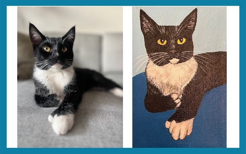 1068 502514 @cookie Wookie The Polydactyl Combined