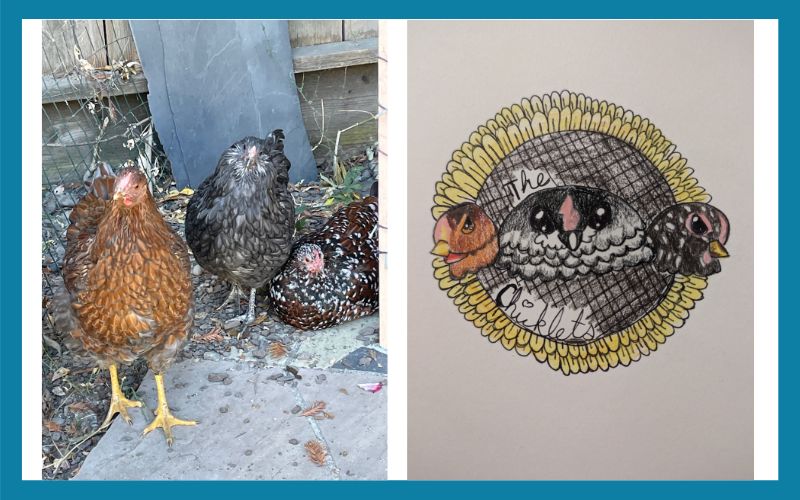 1070 502518 The Chicklets Combined