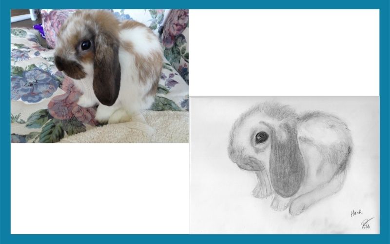 1097 502984 Hank Combined