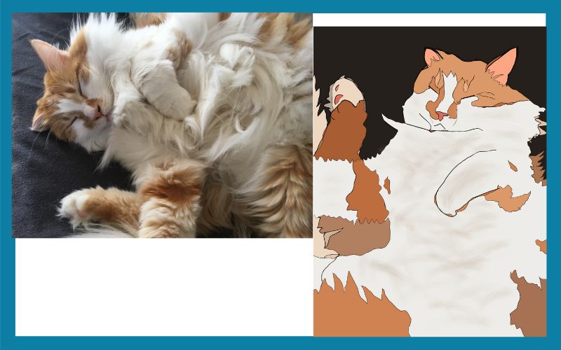 1030 496716 Wampus Combined