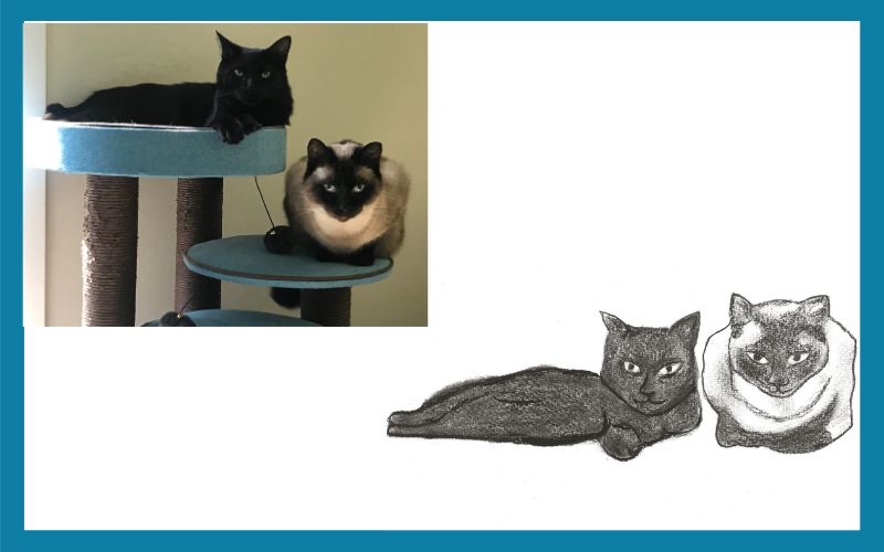 1056 502321 Percy And Frankie Combined