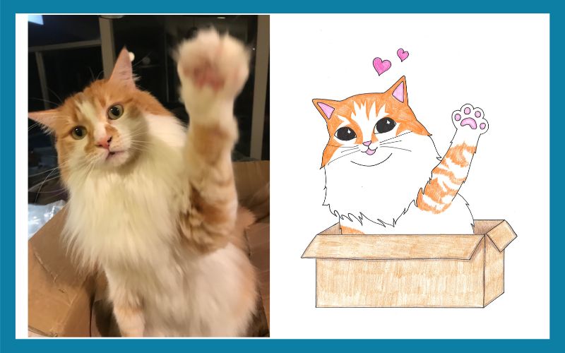 2019 504630 Kitty Wampus Combined