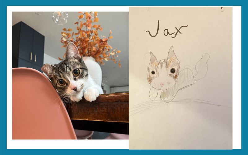 2033 504981 Jax