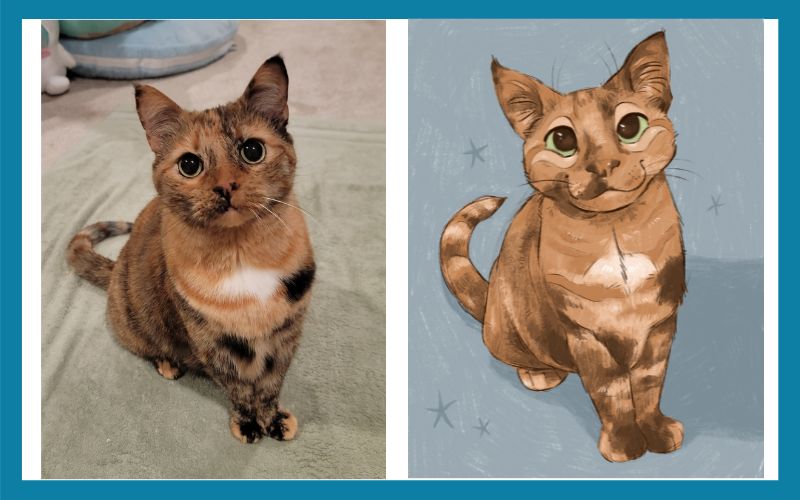 2108 504766 Jasper Combined