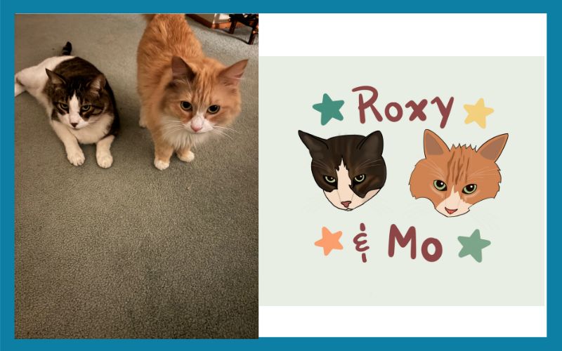 3030 505071 Mo And Roxy Combined