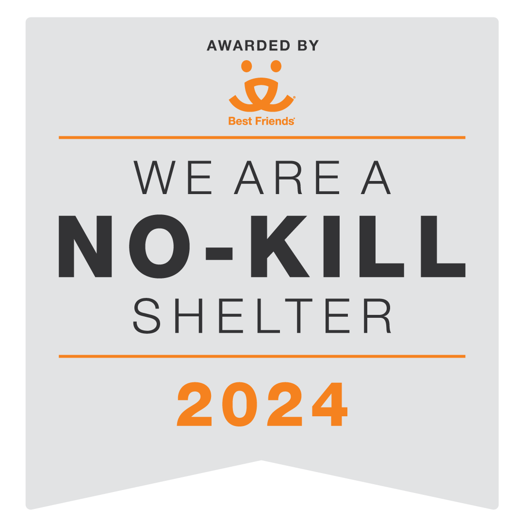 http://250249%20nokillbadge24%20gray%20dc