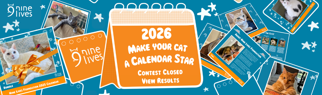 Banners 1080 x 320 px 1