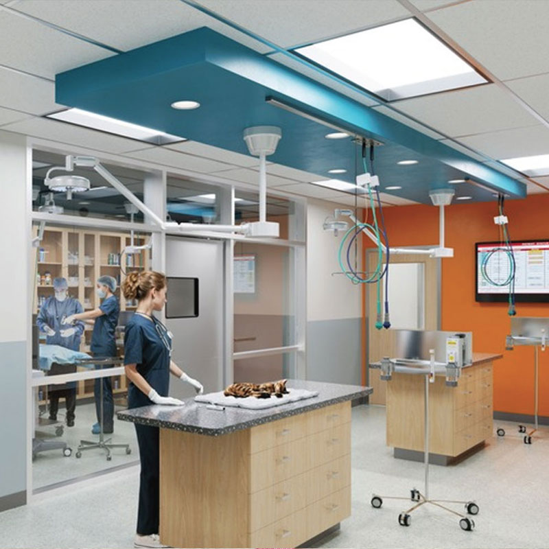 Nine lives foundation new building clinic