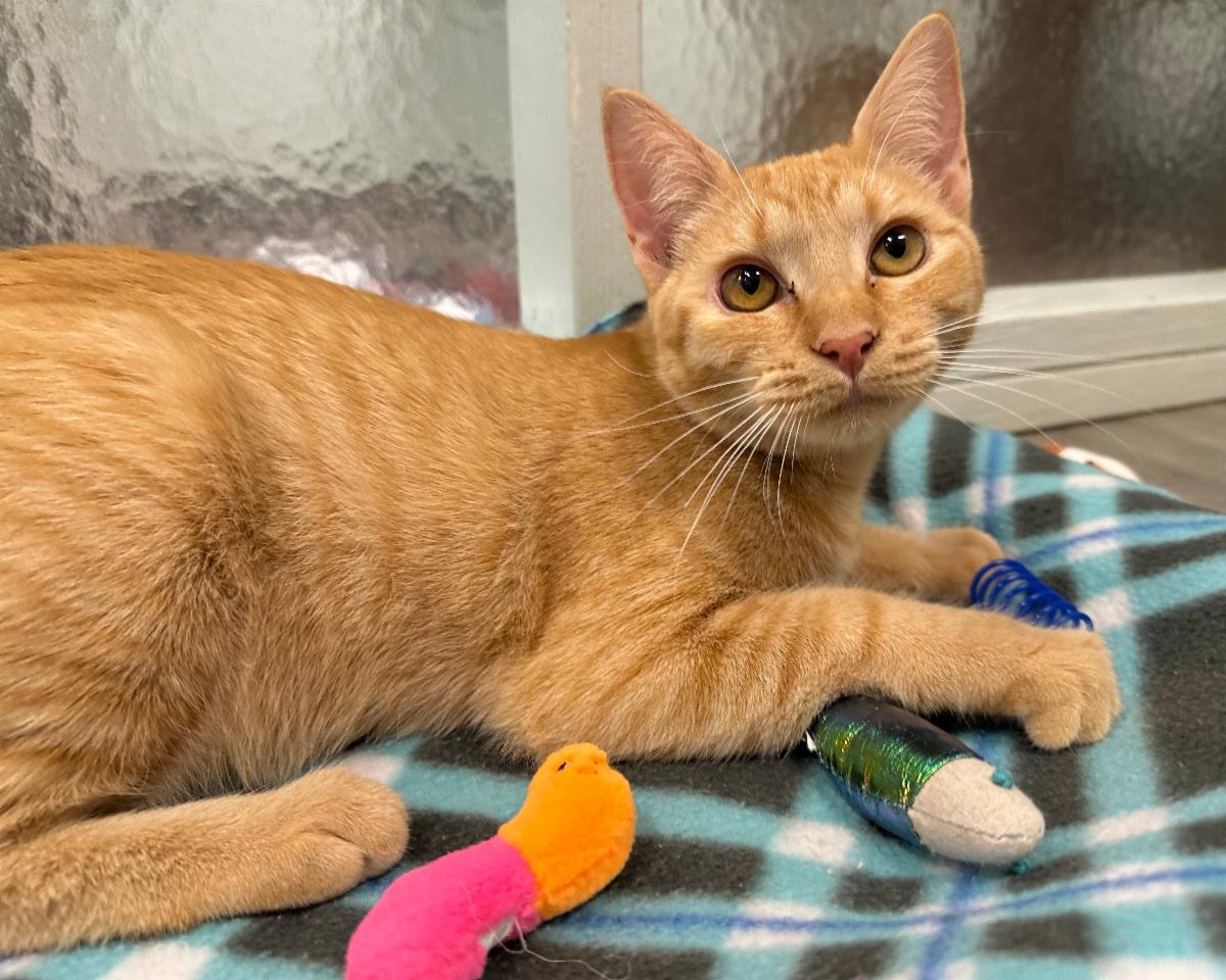 Mews News: November 2025