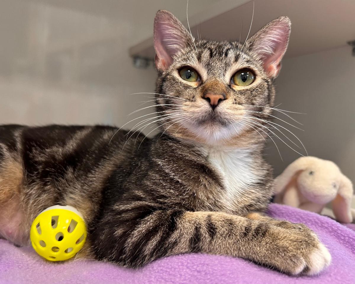 Mews News: Worth the Wait