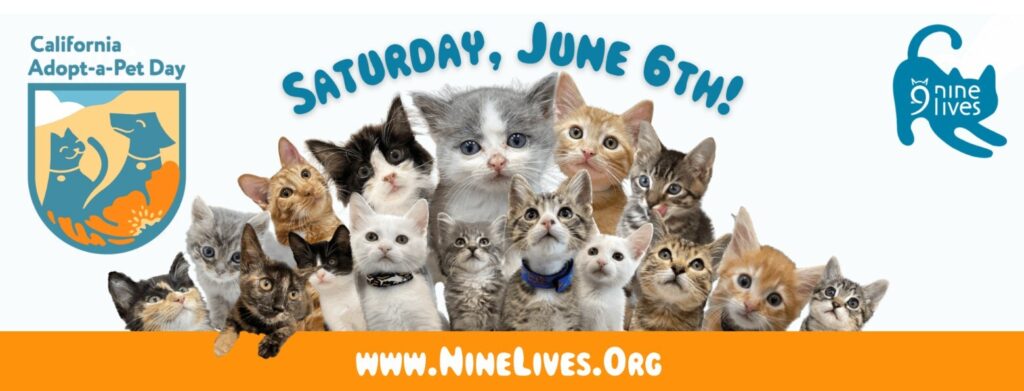 CA Adopt a Pet Day June 6 2026 SMALLER