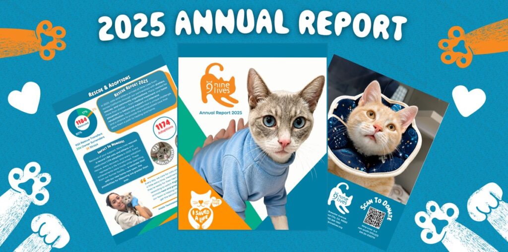Annual Report 2025 snip