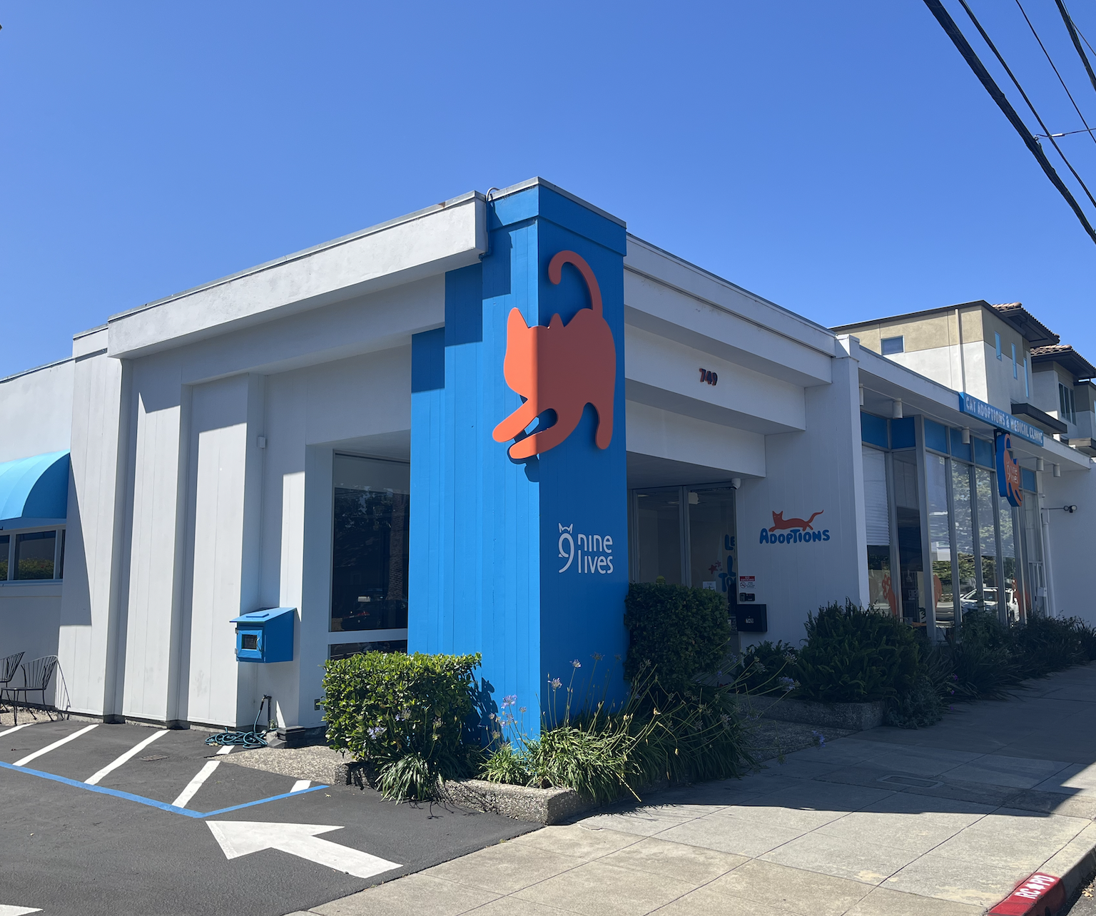 Nine Lives Building