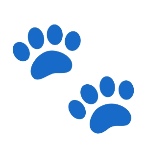 Paws