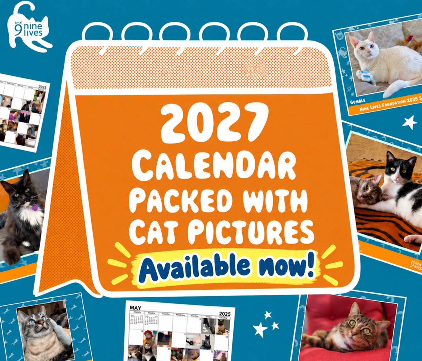 2027 Cat Calendar Celebration