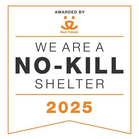 http://No%20Kill%20Shelter%20Digital%20Badge