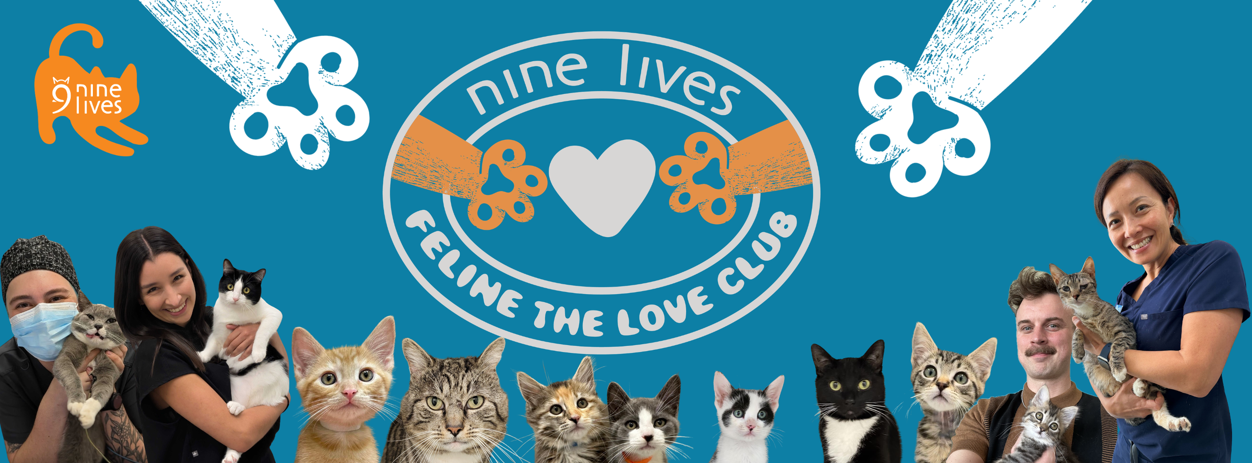Feline The Love updated Oct