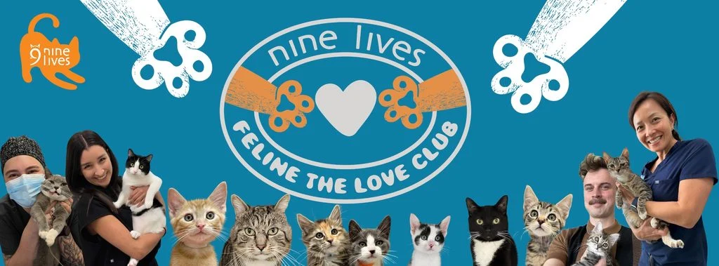 Feline The Love updated Oct