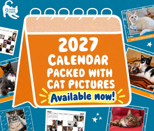 2027 Cat Calendar